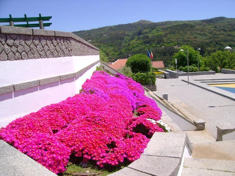 Miradouro Da Serra مونشيك المظهر الخارجي الصورة